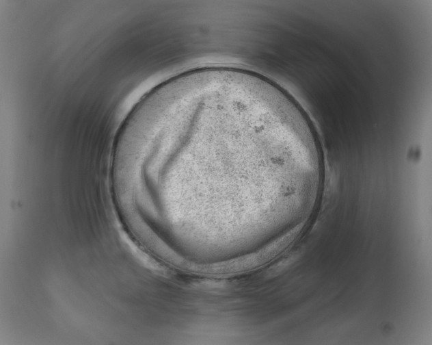 X0000112741245200909171154