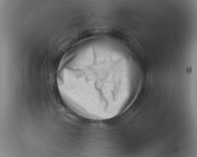 X0000112741250200909171153