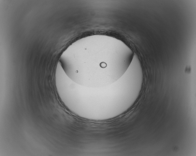 X0000112741252200909171153