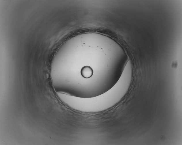 X0000112741253200909171153