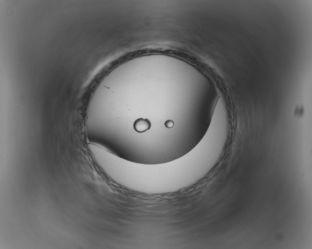 X0000112741256200909171153