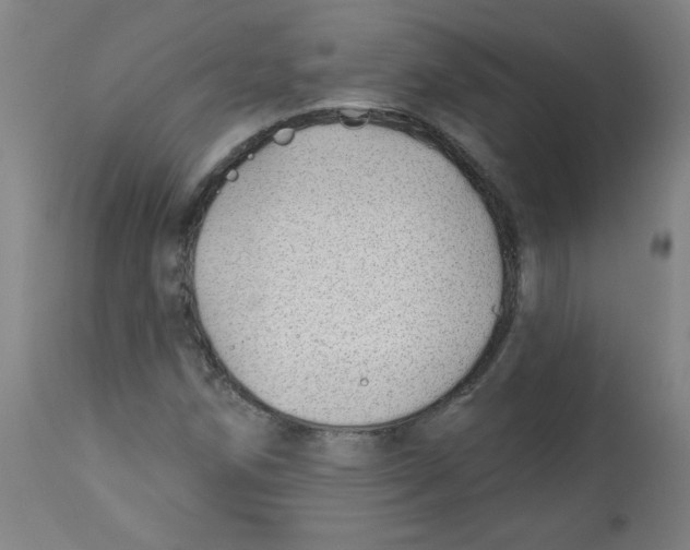 X0000112741258200909171153