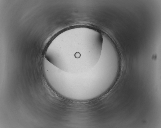 X0000112741260200909171153