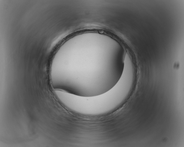 X0000112741261200909171153