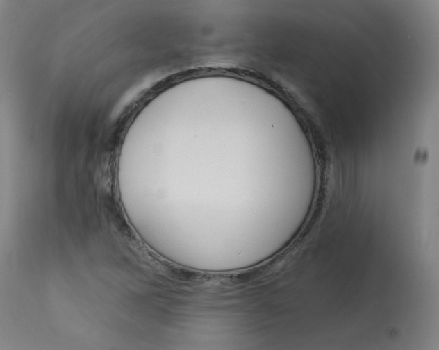 X0000112741262200909171153