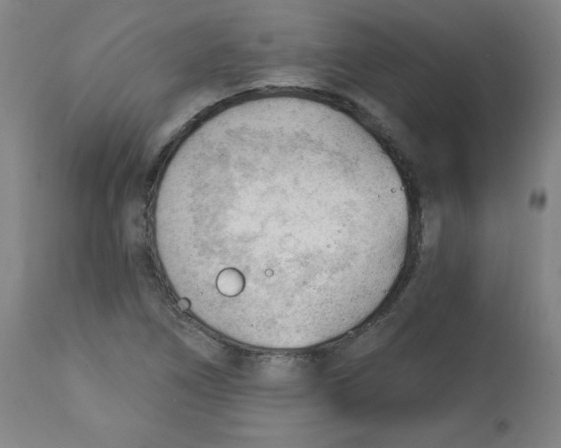 X0000112741266200909171153