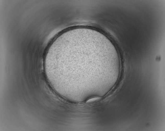 X0000112741267200909171153