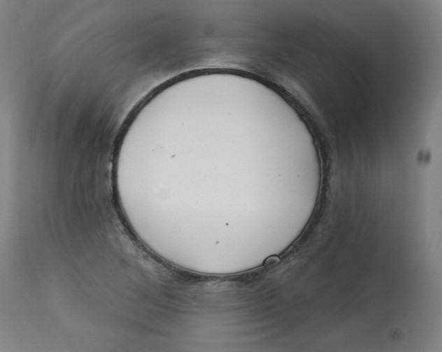 X0000112741268200909171153