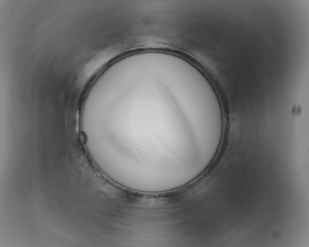 X0000112741269200909171153