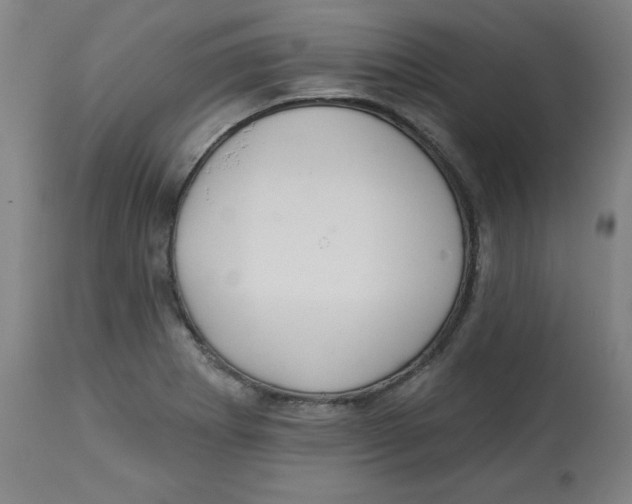 X0000112741273200909171153