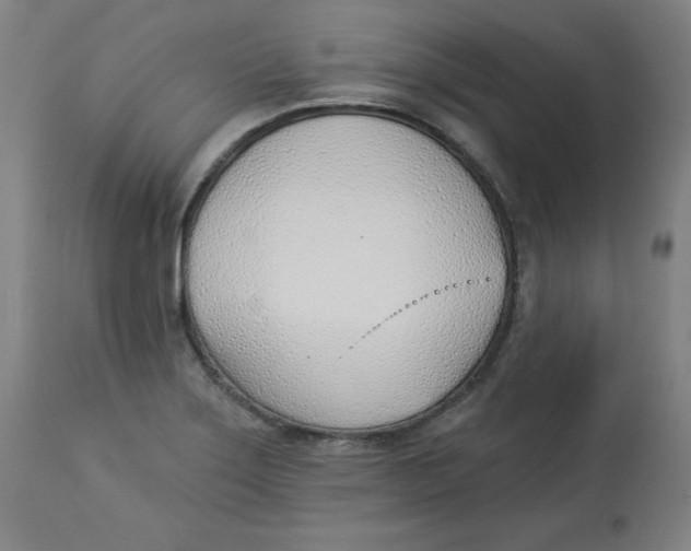 X0000112741275200909171153