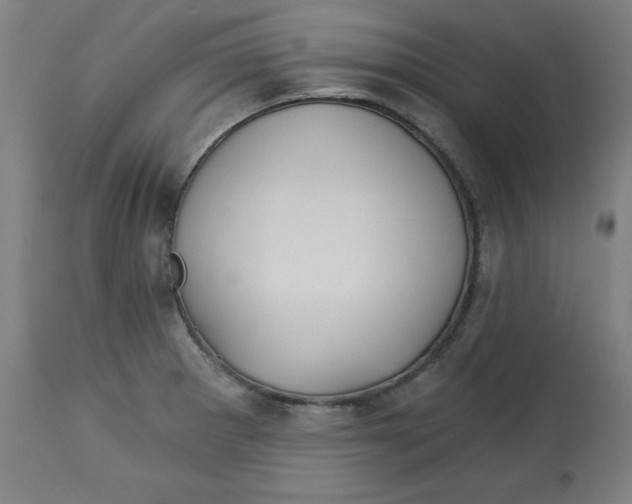 X0000112741281200909171153