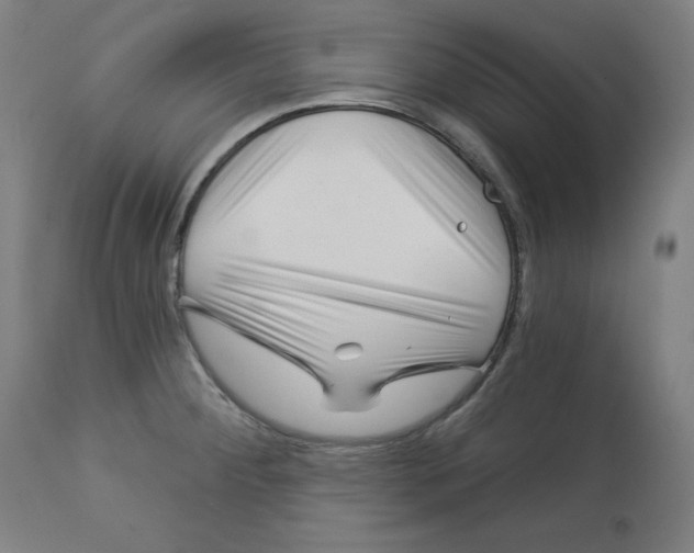 X0000112741284200909171153