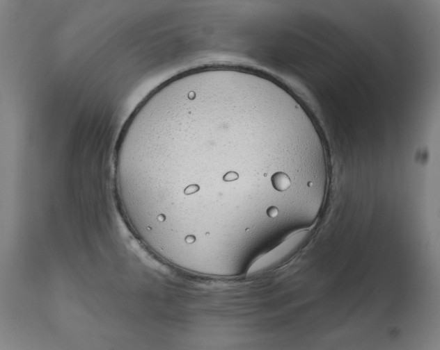 X0000112741287200909171153