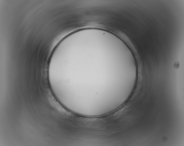 X0000112741292200909171152