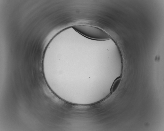 X0000112741296200909171152