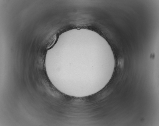 X0000112741300200909171152