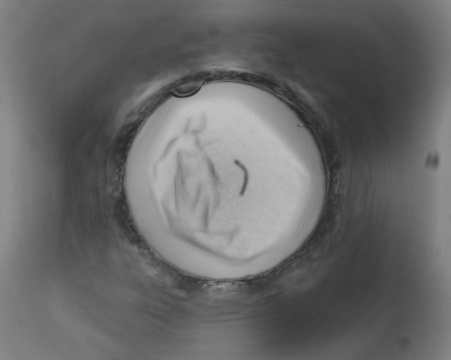 X0000112741303200909171152