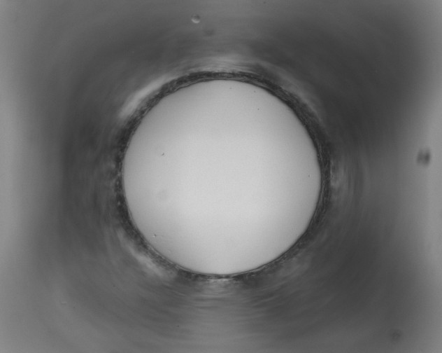 X0000112741304200909171152