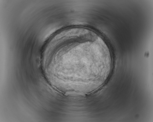 X0000112741306200909171152