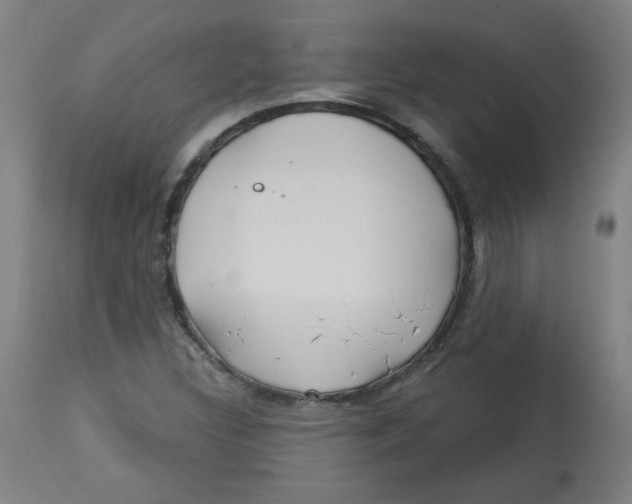 X0000112741308200909171152