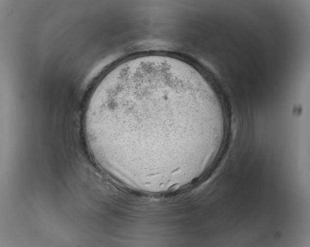 X0000112741309200909171152