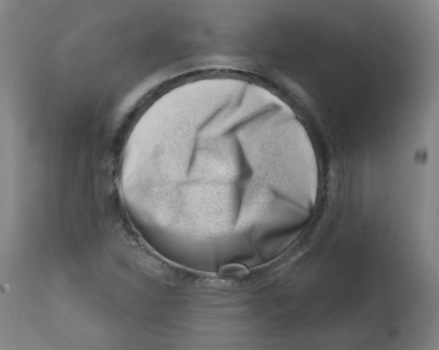 X0000112741310200909171152