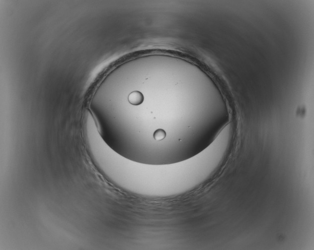 X0000112741312200909171152