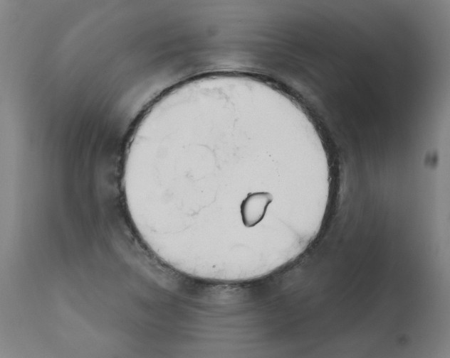 X0000112741314200909171152