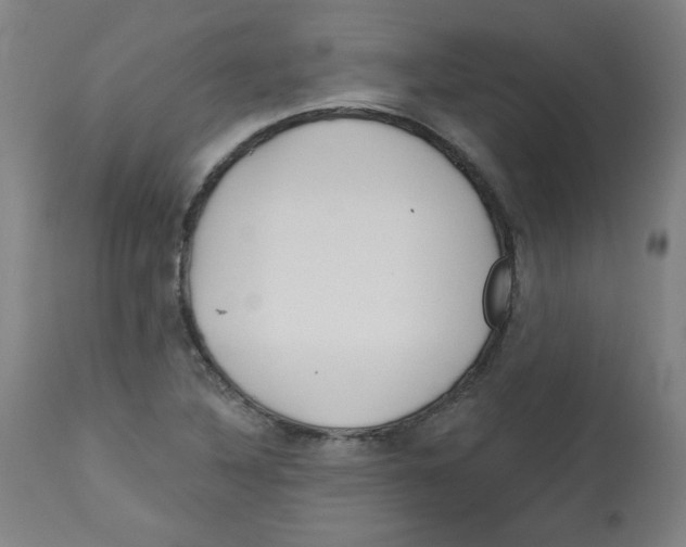 X0000112741316200909171152