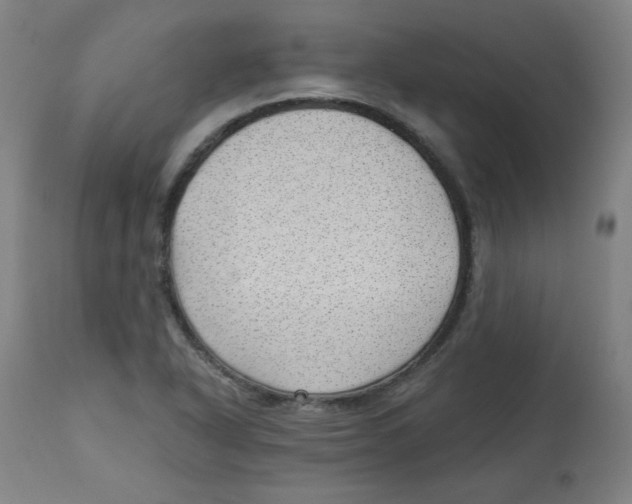 X0000112741318200909171152