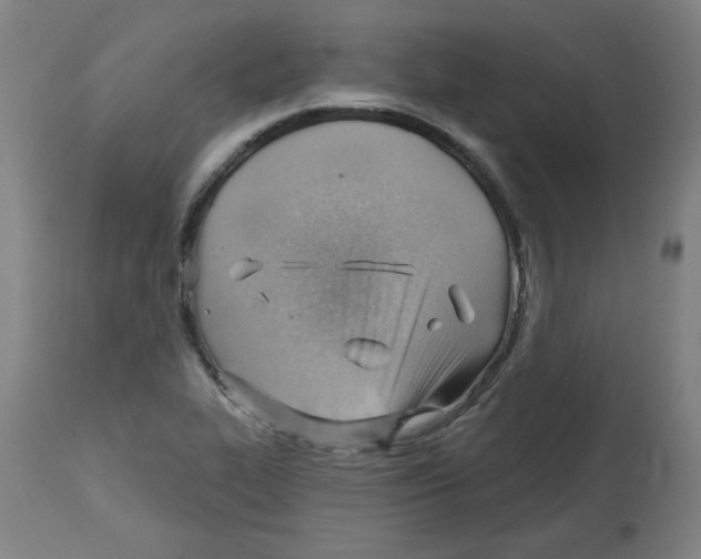 X0000112741319200909171152