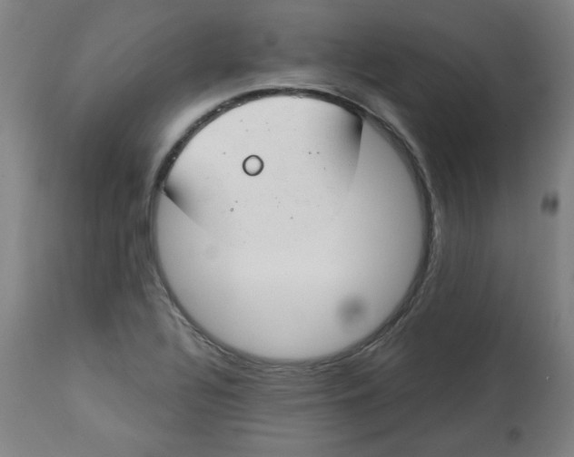 X0000112741320200909171152