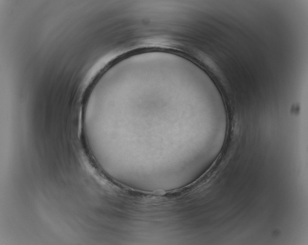 X0000112741323200909171152