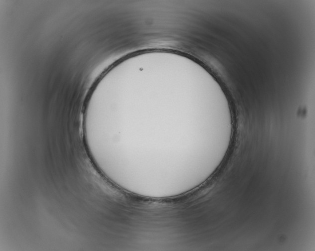 X0000112741324200909171152