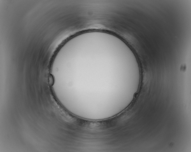 X0000112741326200909171152