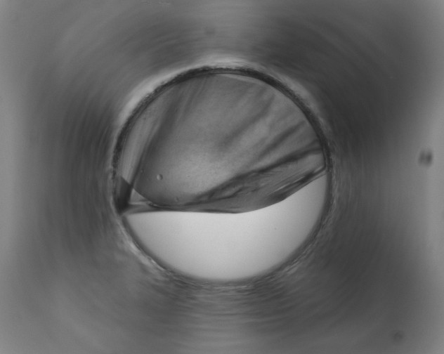 X0000112741327200909171152