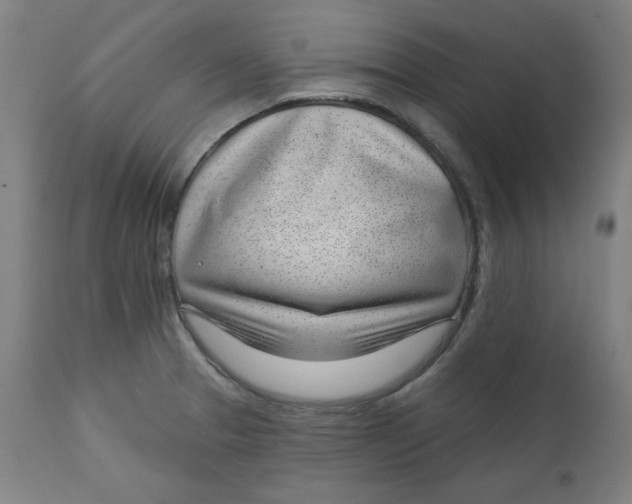 X0000112741329200909171152