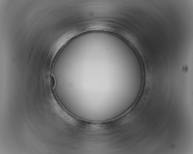 X0000112741330200909171152