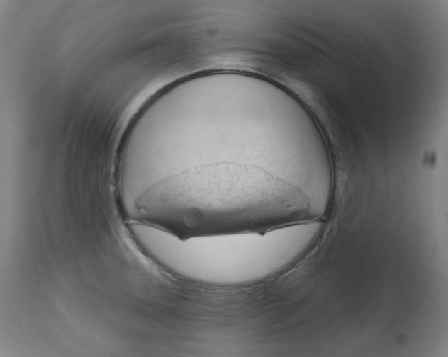 X0000112741331200909171152