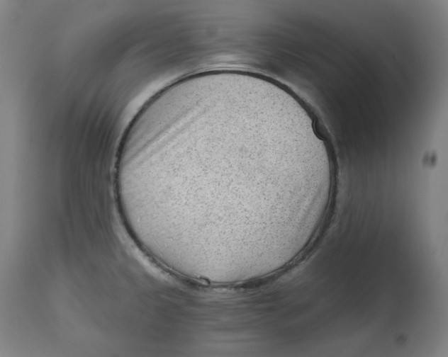 X0000112741333200909171152