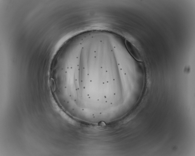 X0000112741334200909171152