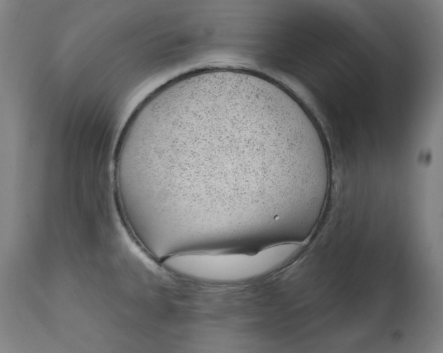 X0000112741335200909171152