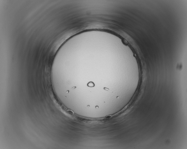 X0000112741337200909171152