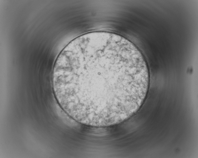 X0000112741338200909171152