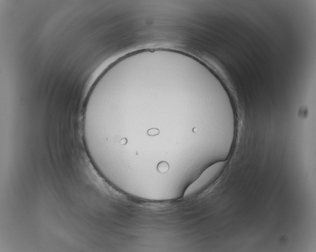 X0000112741340200909171152