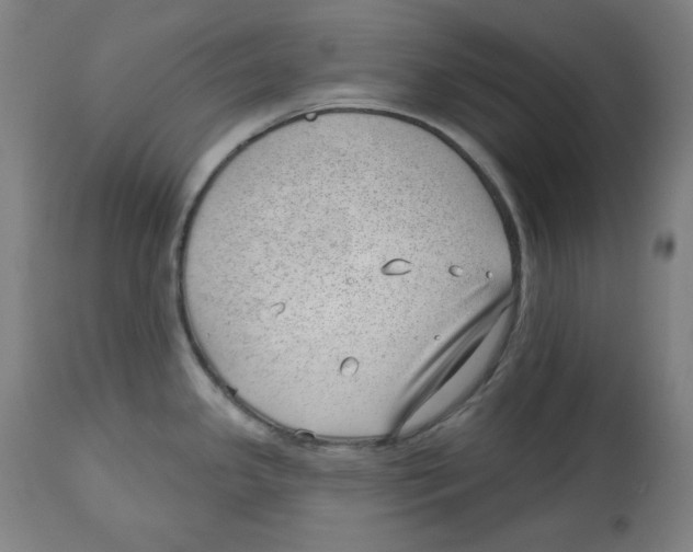 X0000112741341200909171152