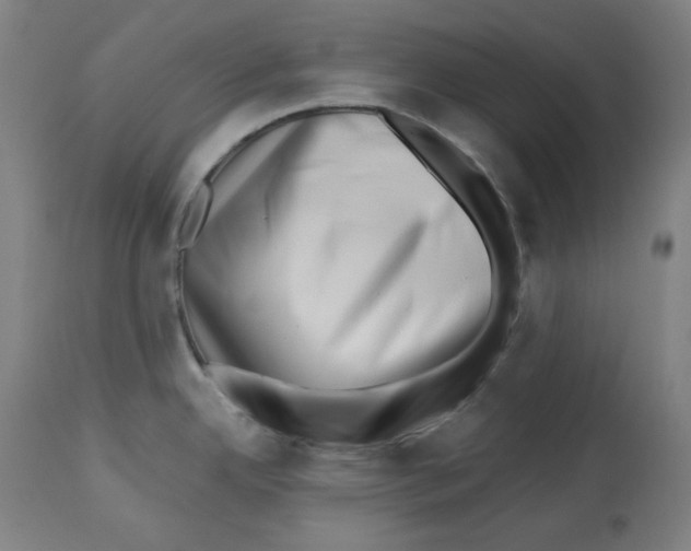 X0000112741342200909171152