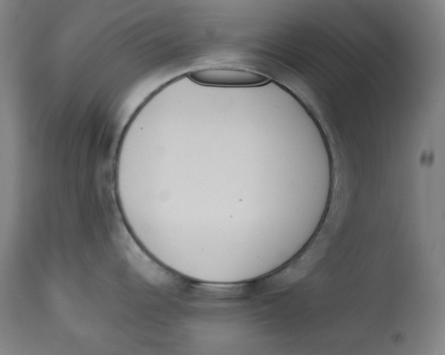 X0000112741344200909171152