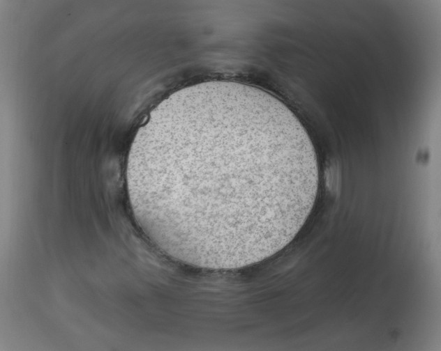 X0000112741347200909171152